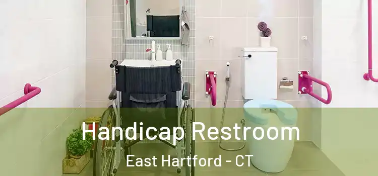 Handicap Restroom East Hartford - CT